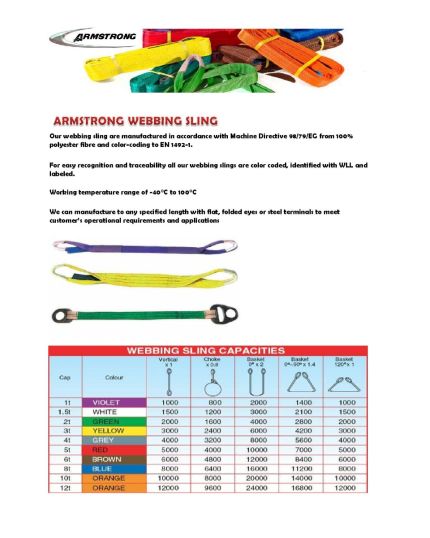 WS-2x3 Polyster Flat Webbing Sling 2 Ton x 3M